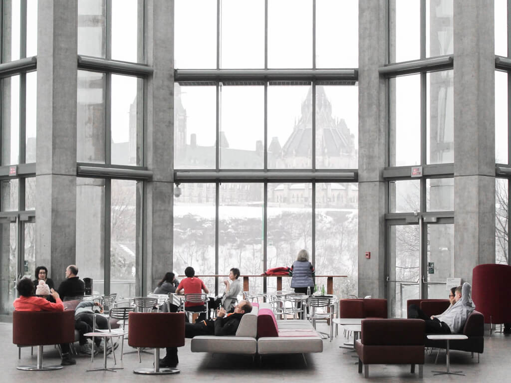 Растения в интерьере